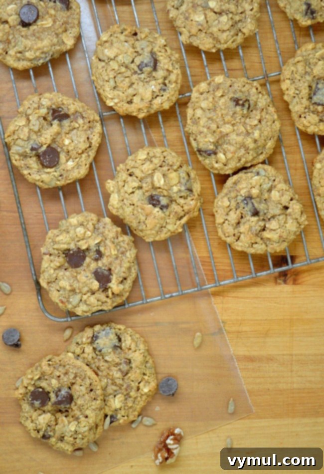 Gluten-Free Chocolate Chip, Nut and Seed Oatmeal Cookies 3 Gluten-Free Chocolate Chip, Nut & Seed Oatmeal Cookies
