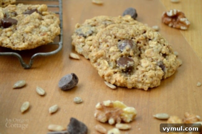 Gluten-Free Chocolate Chip, Nut and Seed Oatmeal Cookies 4 Chocolate Chip, Nut & Seed Oatmeal Cookies - Naturally Gluten-Free