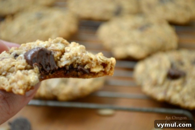 Gluten-Free Chocolate Chip, Nut and Seed Oatmeal Cookies 5 Close-up of Chocolate Chip, Nut & Seed Oatmeal Cookies