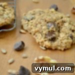 Gluten-Free Chocolate Chip, Nut and Seed Oatmeal Cookies 6 Gluten-Free Chocolate Chip, Nut & Seed Oatmeal Cookies
