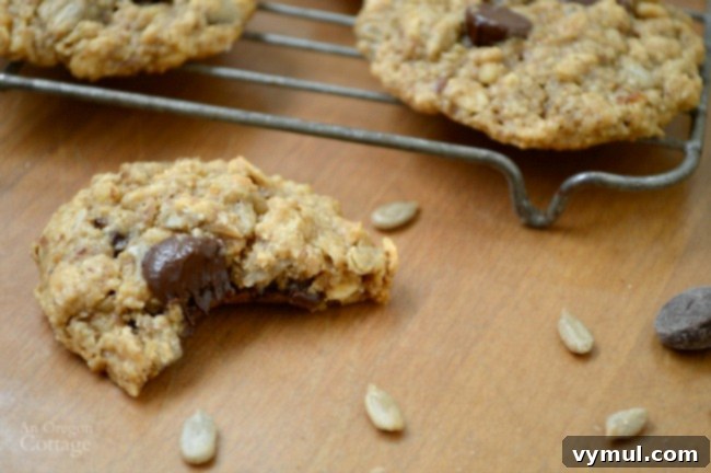 Gluten-Free Chocolate Chip, Nut and Seed Oatmeal Cookies 7 Delicious Chocolate Chip, Nut & Seed Oatmeal Cookies
