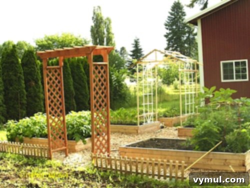 kelly-garden-update kelly-garden-update