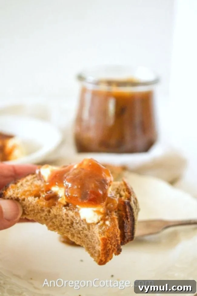 Spicy Rhubarb Chutney: Sweet Heat for Your Shelf 2 Delicious spicy rhubarb chutney served on a slice of bread with cream cheese, perfect for appetizers.