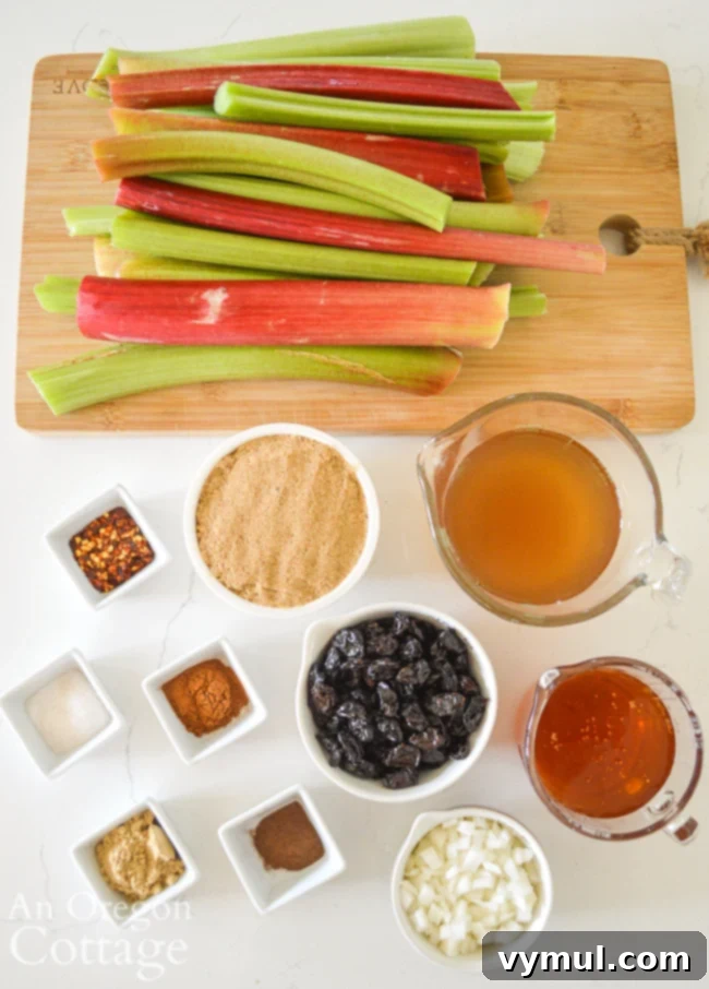Spicy Rhubarb Chutney: Sweet Heat for Your Shelf 4 Fresh rhubarb and other ingredients laid out for making spicy rhubarb chutney.