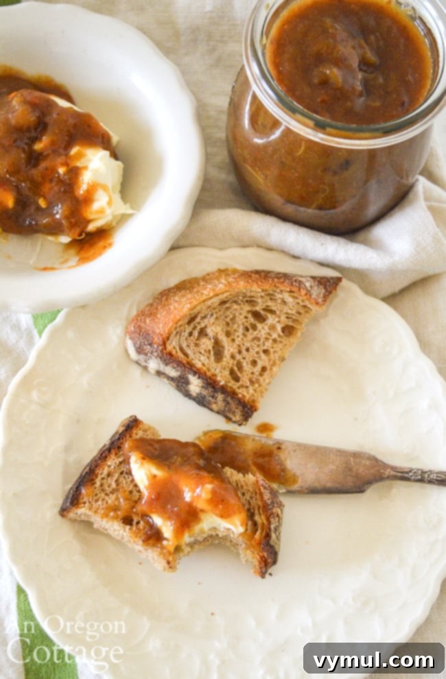 Spicy Rhubarb Chutney: Sweet Heat for Your Shelf 10 A delicious appetizer bite of spicy rhubarb chutney and cream cheese on a cracker.
