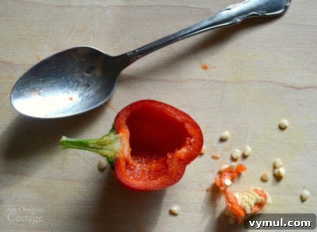 Blistered Mini Peppers with Creamy Cheese and Smoky Corn Salsa 3 Prepping peppers for Cheese-Stuffed Mini Peppers with Roasted Corn Salsa, showing mini bell peppers cut in half and ready for filling.