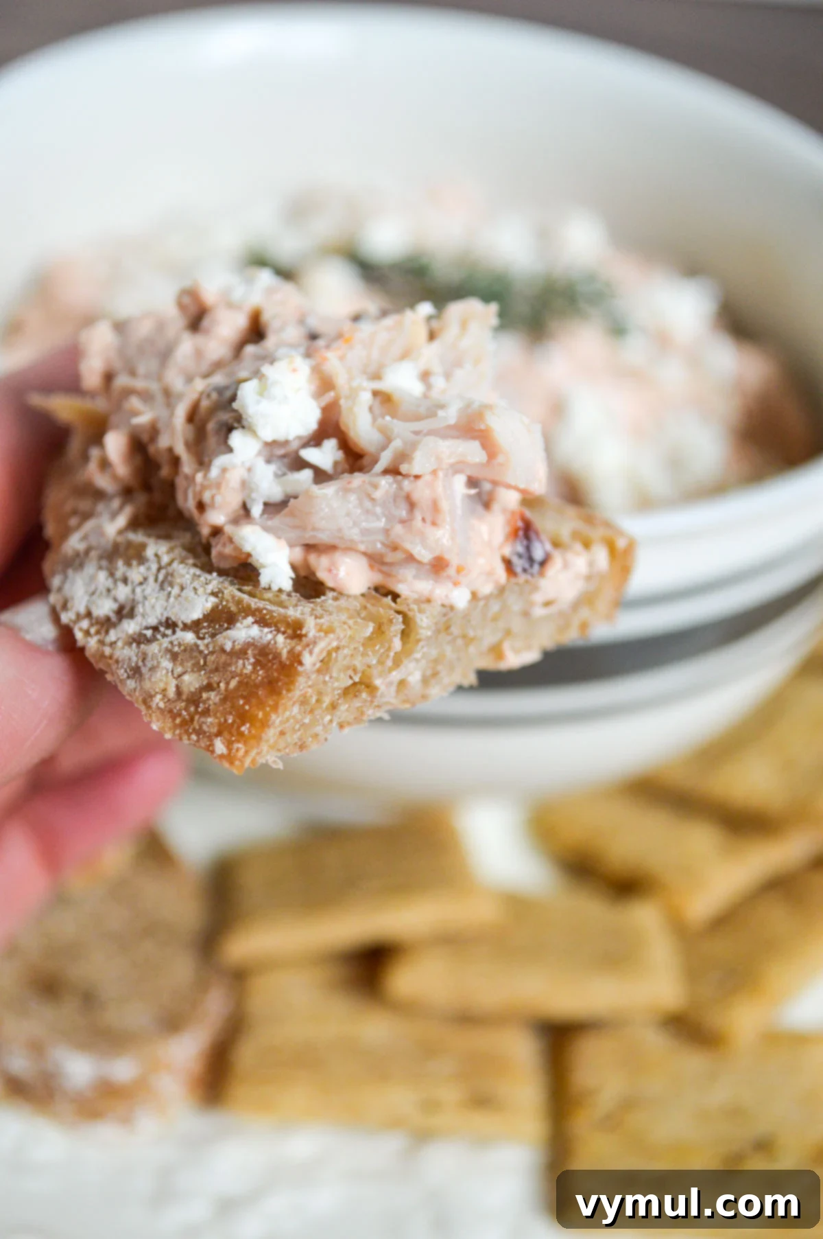 Pratik Feta ve Kuru Domatesli Tavuk Dip 2 Creamy No-Bake Chicken Dip with Feta and Sun-Dried Tomatoes served on artisan bread, garnished with fresh herbs.