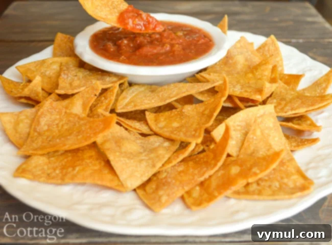 Homemade Crispy Tortilla Chips in Just 10 Minutes 6 Plate of homemade baked tortilla chips served with a bowl of vibrant red salsa.