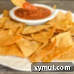 Homemade Crispy Tortilla Chips in Just 10 Minutes 7 homemade tortilla chips on plate with salsa