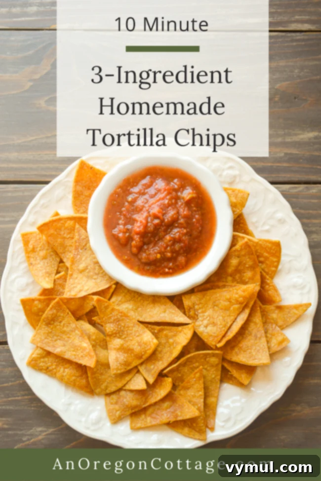 Homemade Crispy Tortilla Chips in Just 10 Minutes 9 A large pile of freshly made, 3-ingredient homemade baked tortilla chips for a healthy snack.