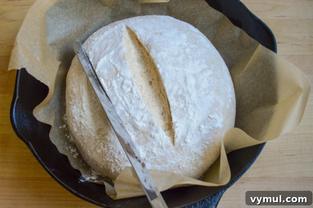 The One-Day Sourdough Secret: Artisan Bread Made Simple 12 scoring a sourdough loaf with a serrated knife before baking to control expansion