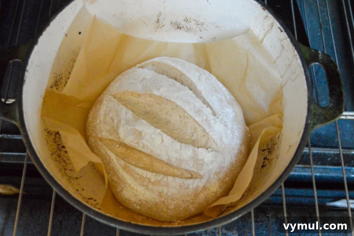 The One-Day Sourdough Secret: Artisan Bread Made Simple 13 slashed sourdough bread dough being gently lowered into a hot enamel pot in the oven