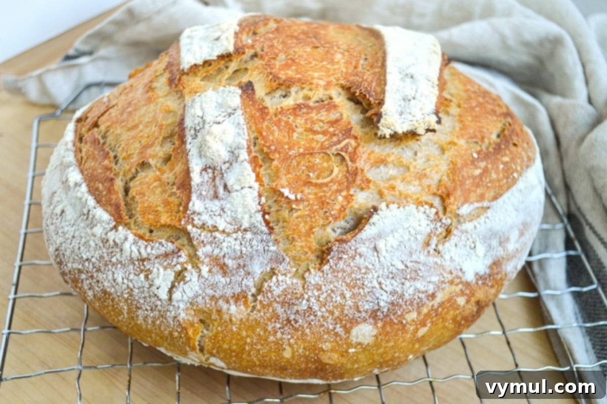 The One-Day Sourdough Secret: Artisan Bread Made Simple 3 Freshly baked sourdough artisan boule loaf cooling on a wire rack