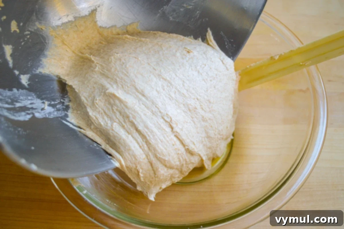 The One-Day Sourdough Secret: Artisan Bread Made Simple 6 scraping sourdough dough from mixer into a large glass bowl, lightly oiled