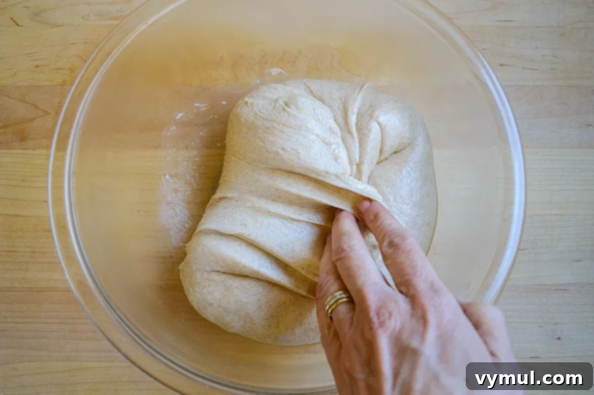 The One-Day Sourdough Secret: Artisan Bread Made Simple 8 stretch and fold technique being applied to sourdough artisan dough in a bowl