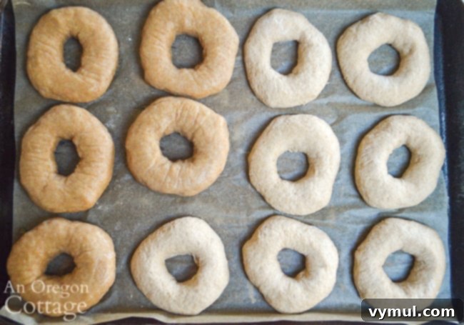half boiled sourdough bagels on pan