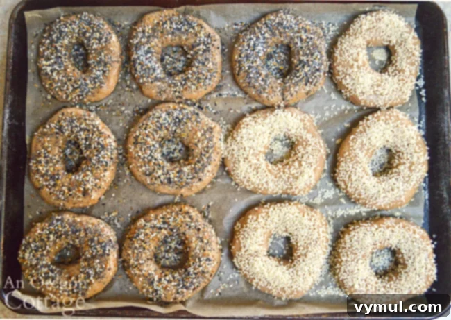 topping sourdough bagels before baking