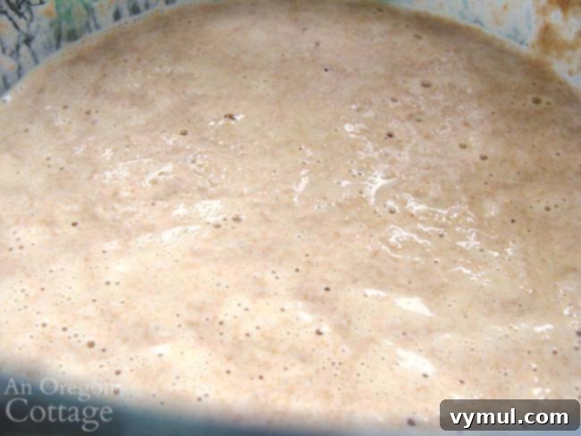bubbling sourdough starter