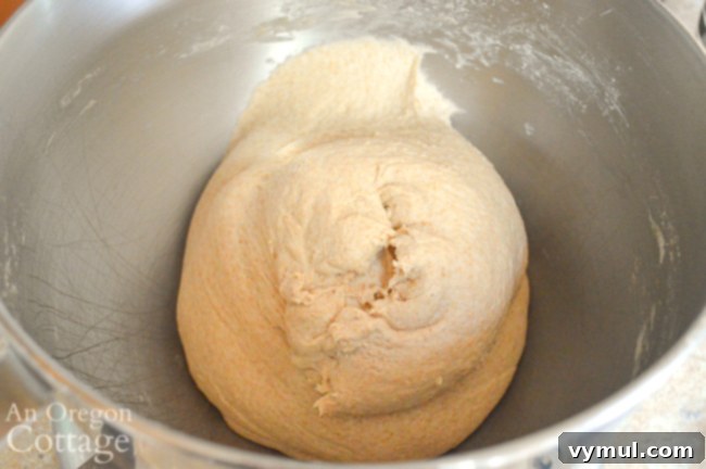 mixed dough for sourdough bagels