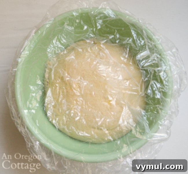 sourdough bagel dough rising