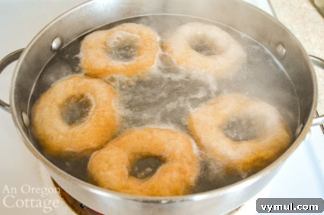 boiling sourdough bagels