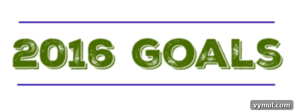 Our 2015 Review and 2016 Outlook 3 2016 Goals