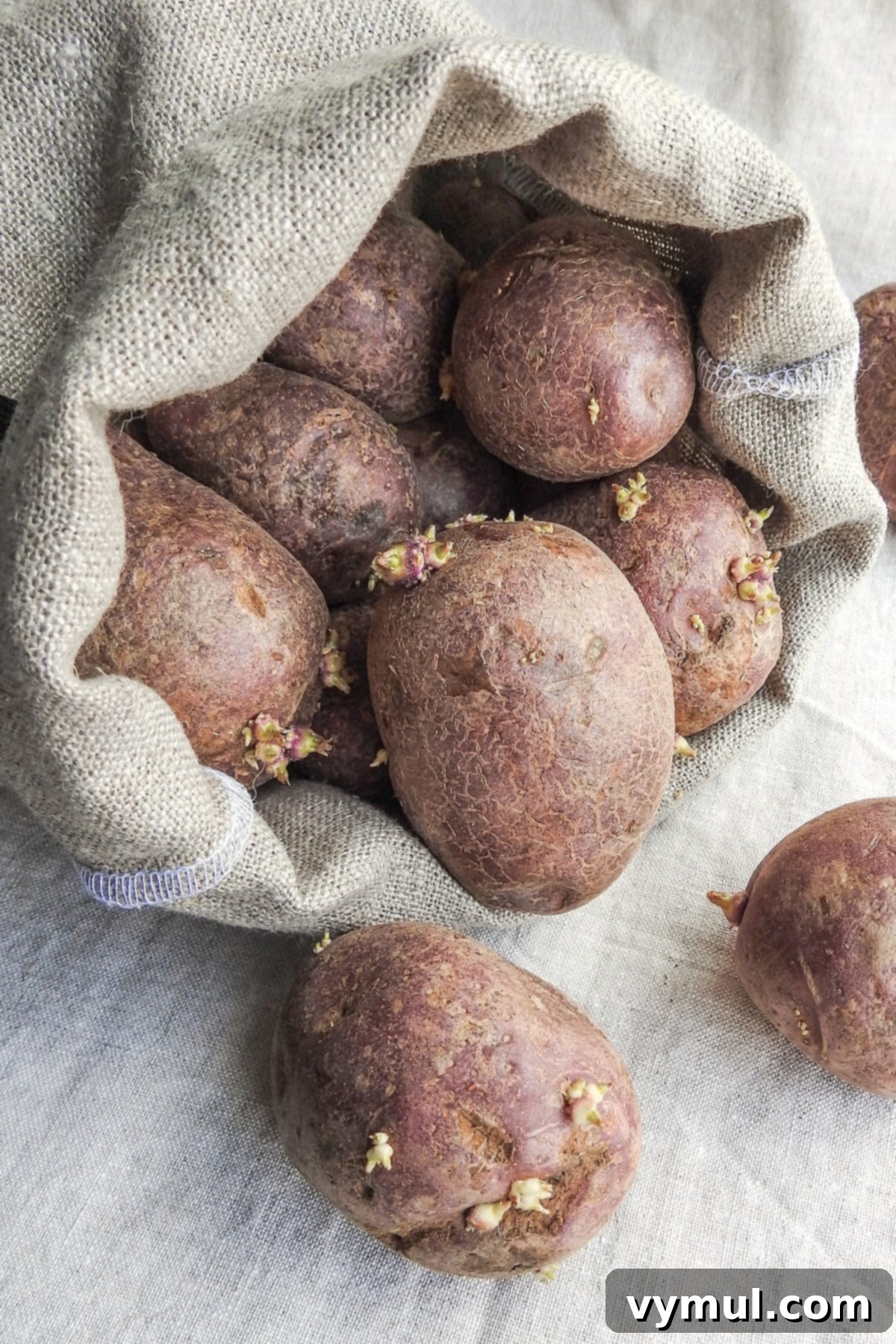 linen bag with red sprouted potatoes