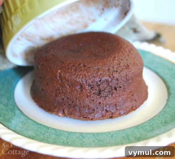 Releasing Easy Lava Cakes