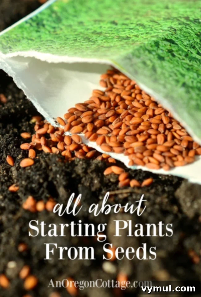 The Art of Seed Starting: Grow Your Garden from the Ground Up 2 seed starting guide -garden seeds on soil