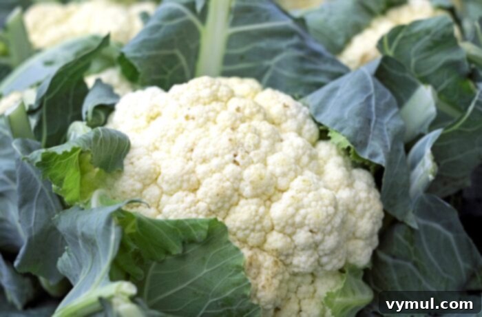 February Fresh: Seasonal Recipes, Tips, and a Free Printable Download 3 February Seasonal Vegetable-cauliflower