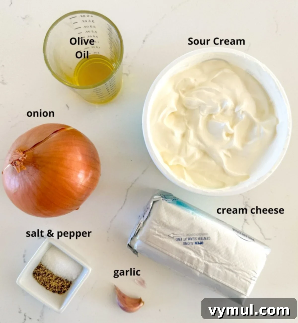 Best Ever Easy Homemade French Onion Dip 4 ingredients for homemade onion dip