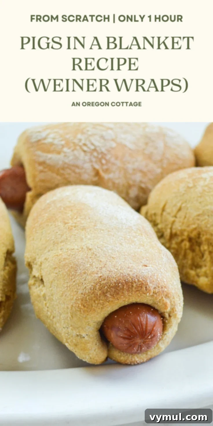 Easy 1-Hour Homemade Pigs In a Blanket 12 Pigs in a blanket recipe Pinterest pin showing baked hot dogs in dough.