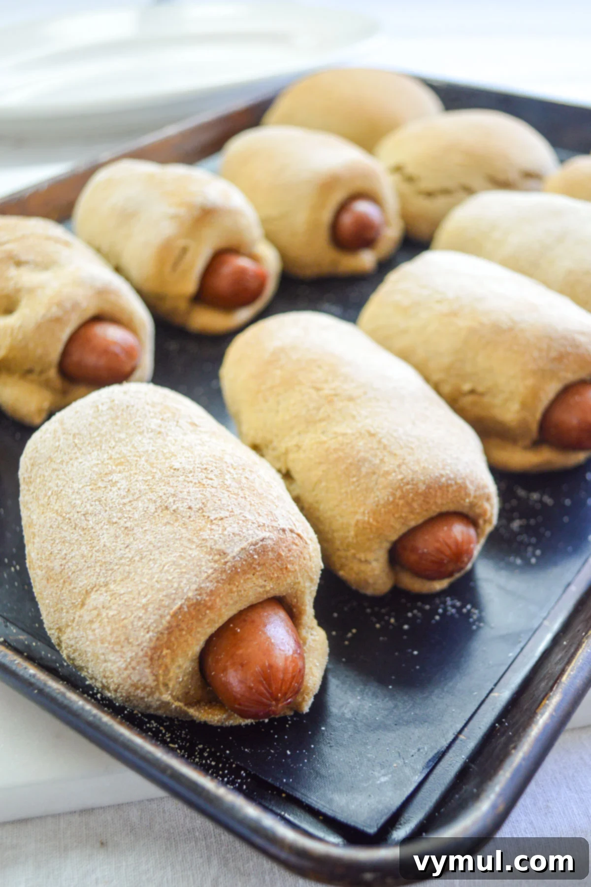 Easy 1-Hour Homemade Pigs In a Blanket 9 Freshly baked pigs in a blanket on a cookie sheet, golden and inviting, ready to be served.