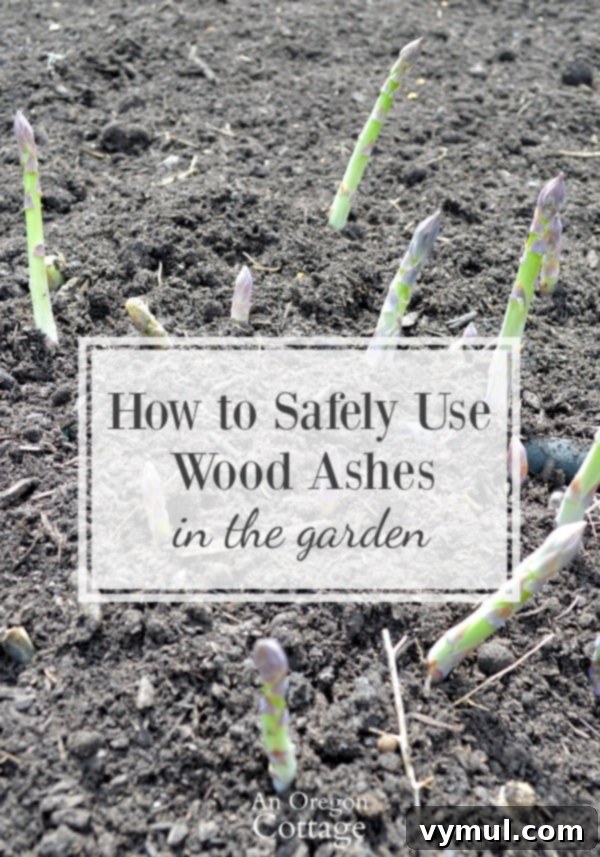 Gardening with Wood Ash Unlock Its Power Responsibly 2 How to Safely Use Wood Ashes in the Garden-tips and precautions