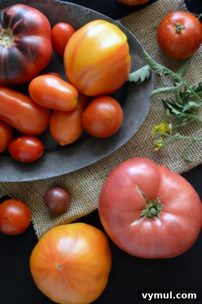 A selection of homegrown tomatoes from 2015, including various shapes and sizes, harvested from a home garden.