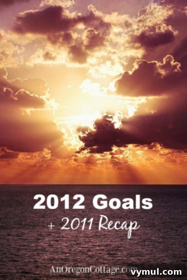 Reflecting on 2011 Achievements and Setting New Goals for 2012