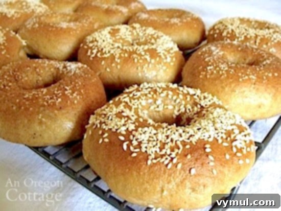 sourdough bagels on cooling rack, freshly baked