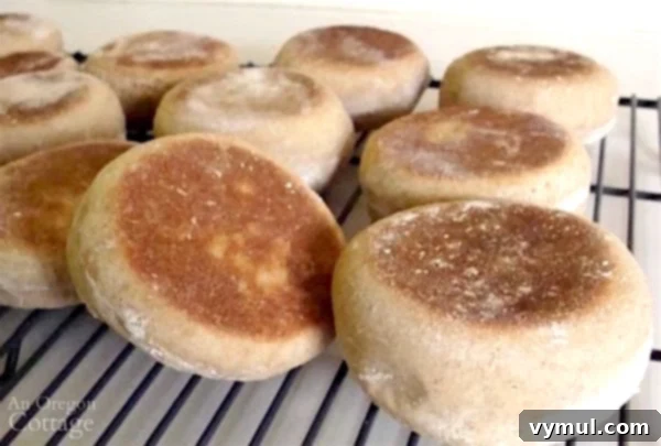 Easy Homemade Whole Wheat Sourdough English Muffins, split open