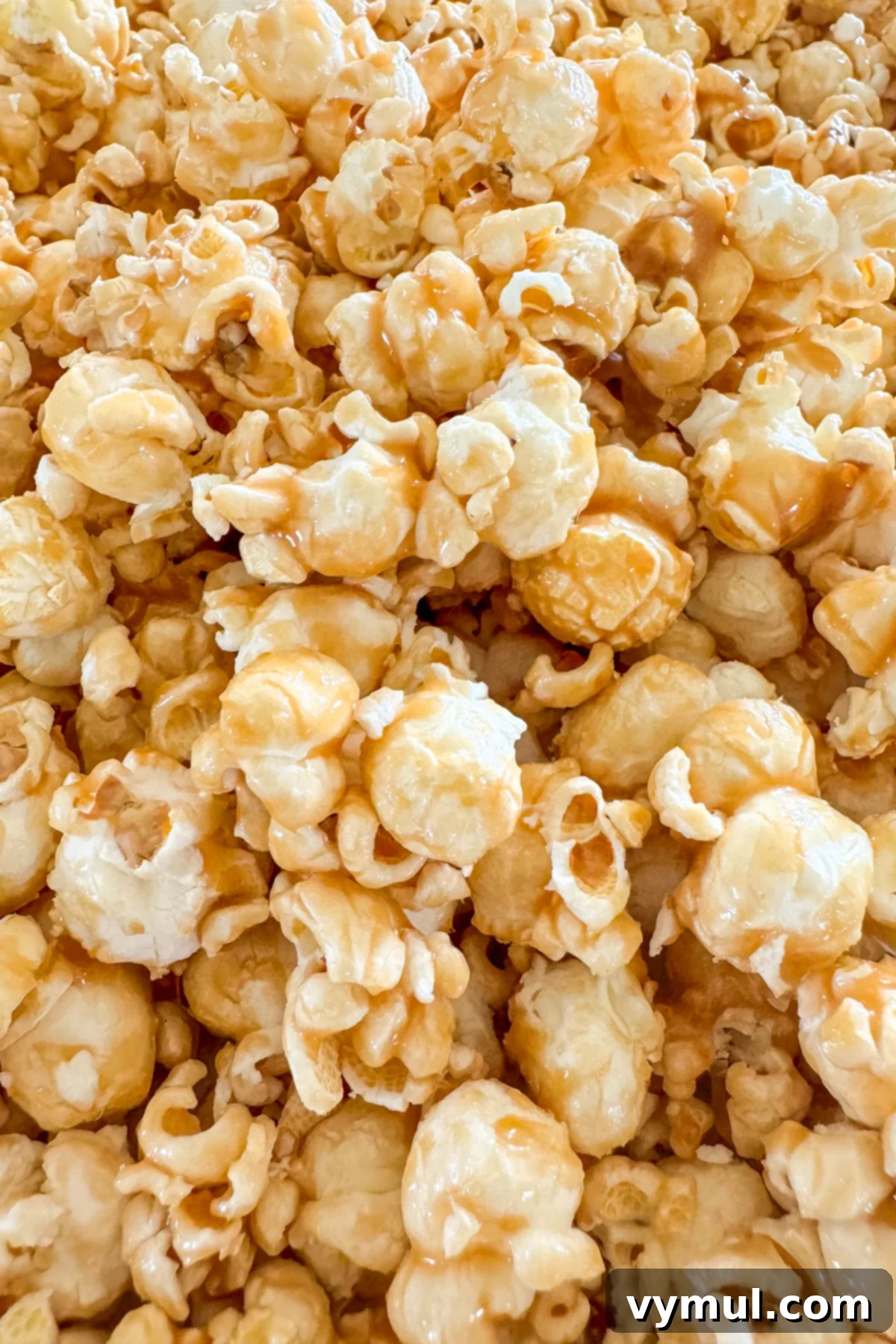 Foolproof Moose Munch Caramel Corn No Corn Syrup No Thermometer 3 Close-up view of perfectly crunchy homemade caramel corn, made without corn syrup or a thermometer, highlighting its golden texture.
