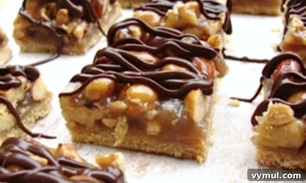 Decadent Chocolate Nut Squares 3 Chocolate Drizzled Nut Squares cookie bars