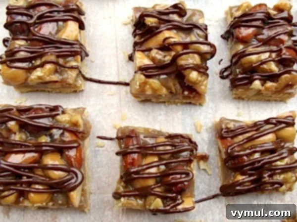 Decadent Chocolate Nut Squares 4 Chocolate Drizzled Nut Squares Cookie Bars