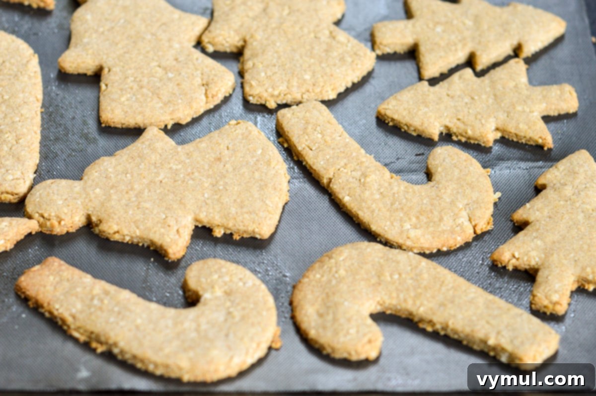 Wholesome Oat & Wheat Cut-Out Cookies 6 baked cut out sugar cookies on pan