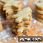 Wholesome Oat & Wheat Cut-Out Cookies 9 whole grain cut out sugar cookies stacked