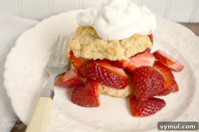 Homemade strawberry shortcake with crunchy drop biscuits
