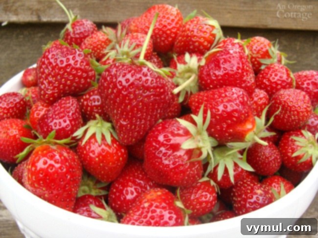 Bowl of Beautiful June Strawberries