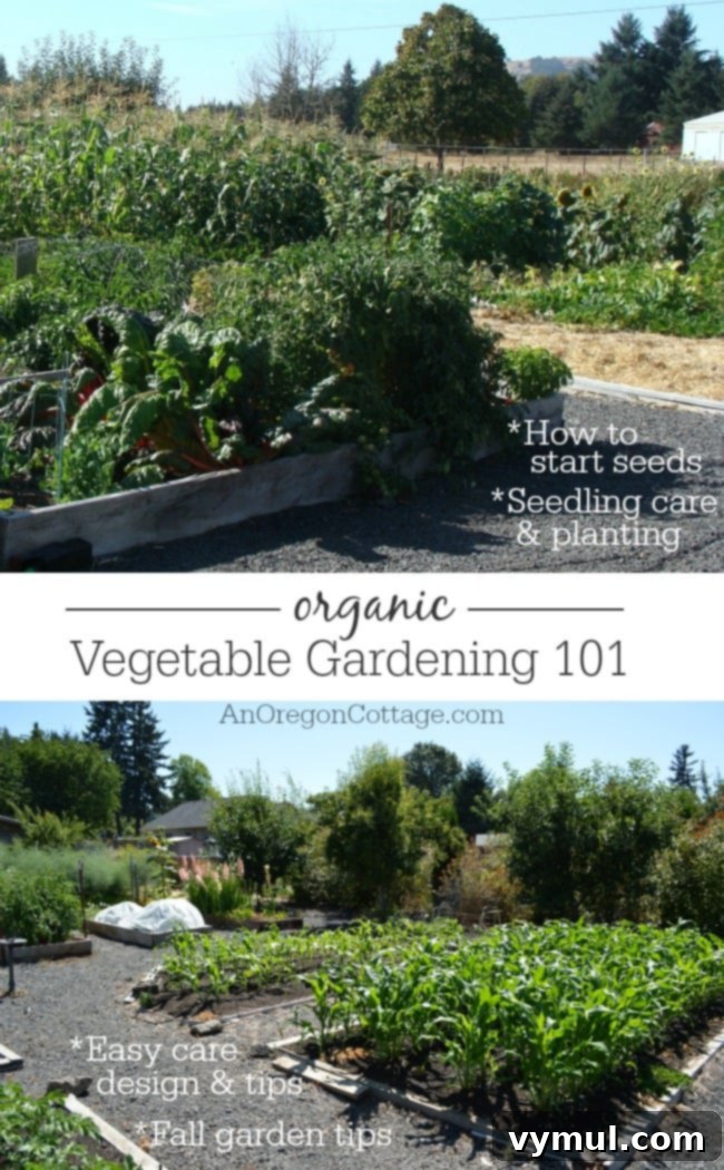 My Emerite Pole Bean Obsession: Why They Outperform Bush Varieties 7 Learn the basics of easy care organic vegetable gardening from starting seeds to fall planting tips.