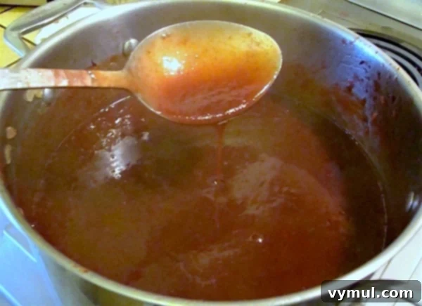 A pot of smooth, blended plum sauce simmering and thickening