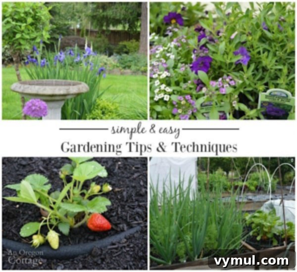 Simple and easy gardening techniques for your best garden ever!
