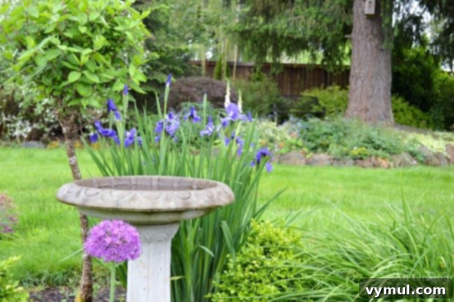 Easy Garden Tips-designing your garden