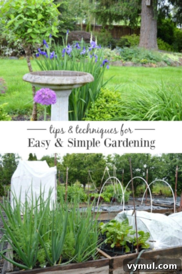 Tips and techniques for your easiest garden ever